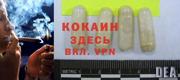 тгк Алзамай