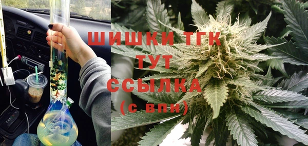 тгк Алзамай