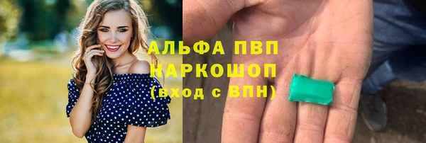 тгк Алзамай