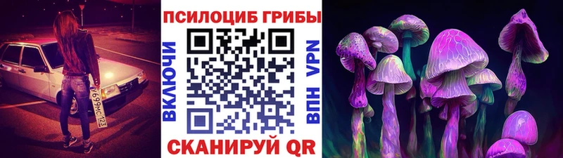 продажа наркотиков Беслан Галлюциногенные грибы прущие грибы